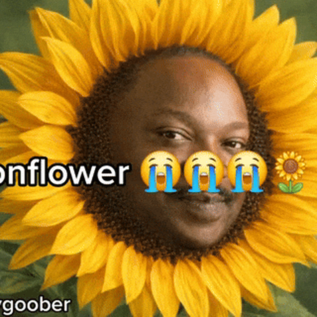 Sonflower