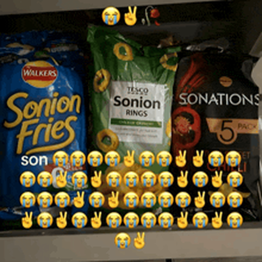 Sonion Frites