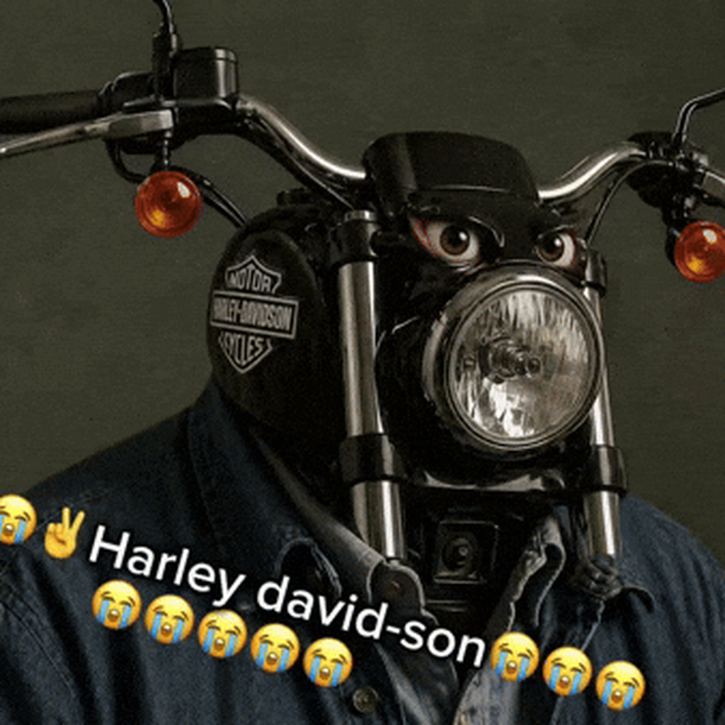 Harley David Son