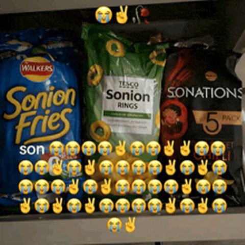 Sonion Frites